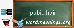 WordMeaning blackboard for pubic hair